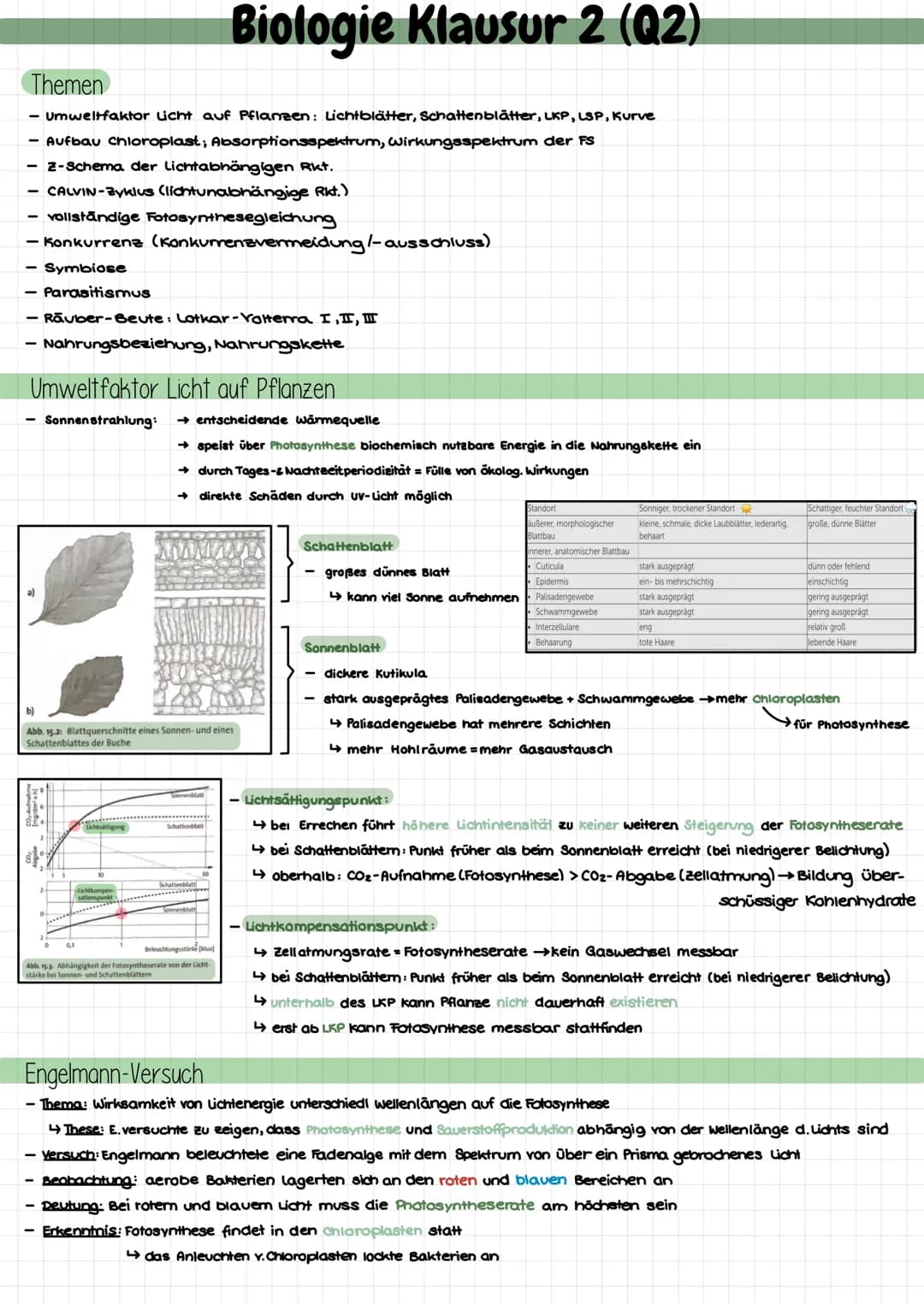 Themen
- Umweltfaktor Licht auf Pflanzen: Lichtblätter, Schattenblätter, LKP, LSP, Kurve
- Aufbau chloroplast; Absorptionsspektrum, Wirkungs