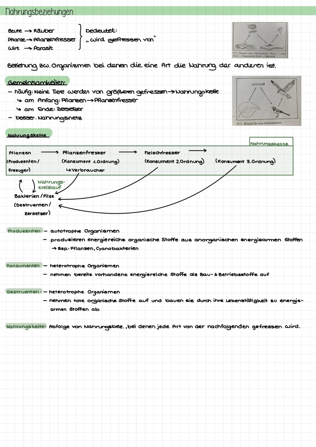 Themen
- Umweltfaktor Licht auf Pflanzen: Lichtblätter, Schattenblätter, LKP, LSP, Kurve
- Aufbau chloroplast; Absorptionsspektrum, Wirkungs