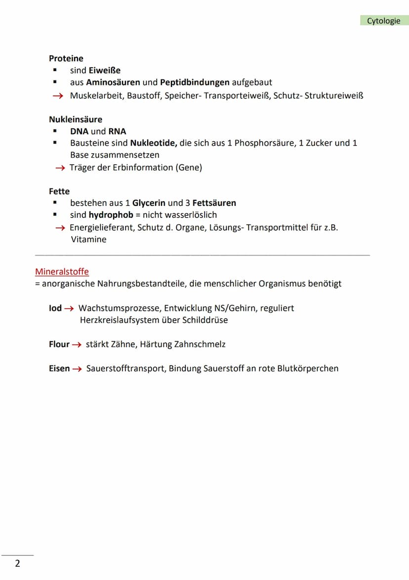 1
Ebenen der Biologie
Zellen = kleinste Bausteine unseres Körpers mit Lebenseigenschaften (= Merkmale
des Lebens)
Merkmale von Zellen
■
bild