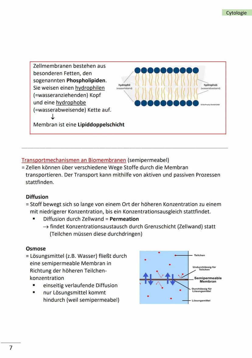 1
Ebenen der Biologie
Zellen = kleinste Bausteine unseres Körpers mit Lebenseigenschaften (= Merkmale
des Lebens)
Merkmale von Zellen
■
bild