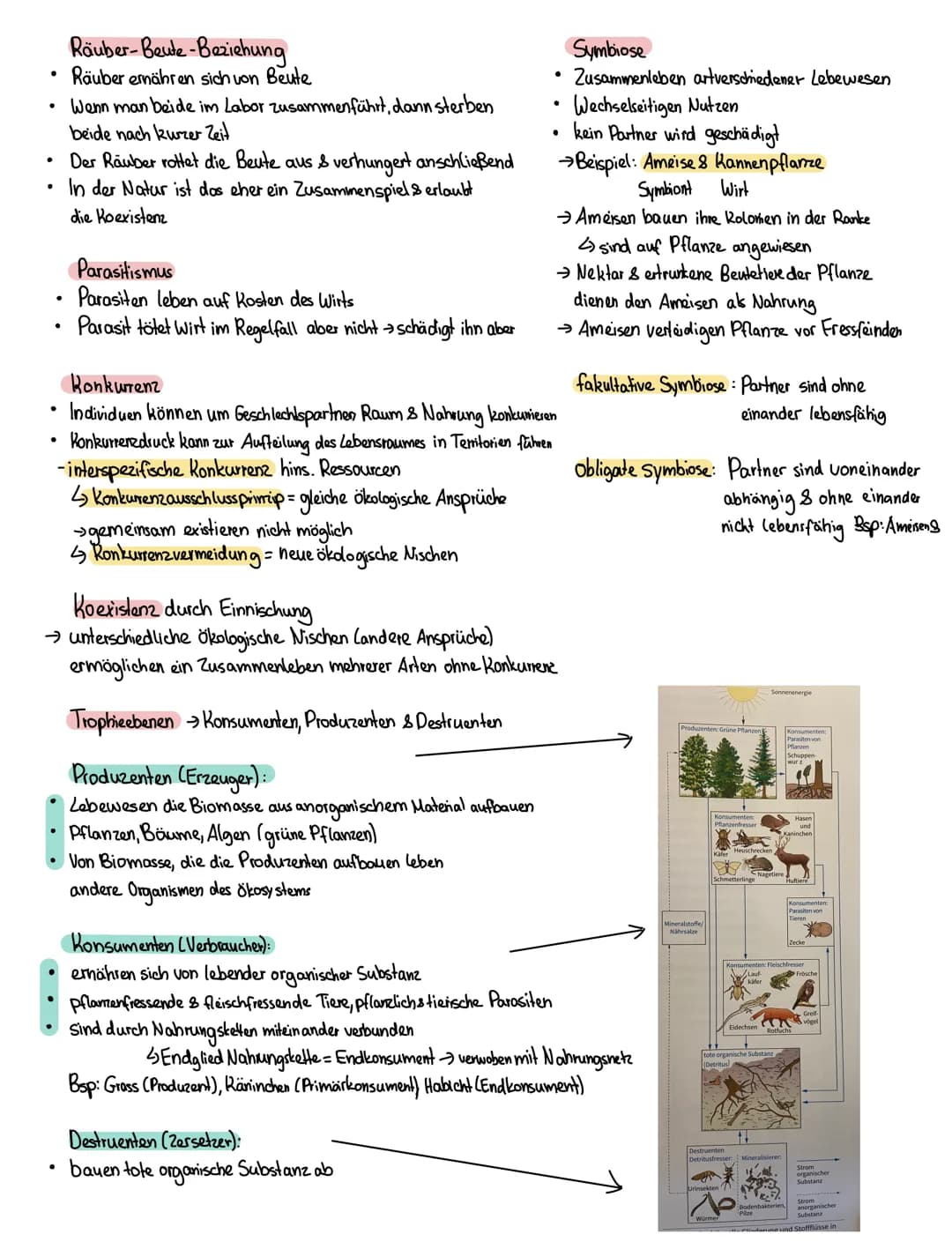 Ökologie
Relevanz
●
Lebensraum für Tiere
bringen Nährung und Nährstoffe
↳
• betreiben Fotosynthese → Sauerstoff
1 = kleines eigenes Ökosyste
