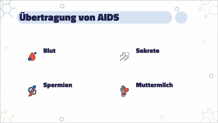 정
Aids
HIV
Von Marie Übersicht
AIDS Ausbruch
Bedeutung
1.
2.
3. Infektion
4. Infektionsverlauf & Symptome
5. Latenzphase
6. AIDS-Phase
7.
8.