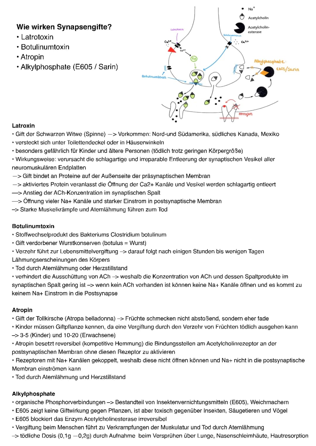 Gifte und ihre Wirkung (Neurobiologie)