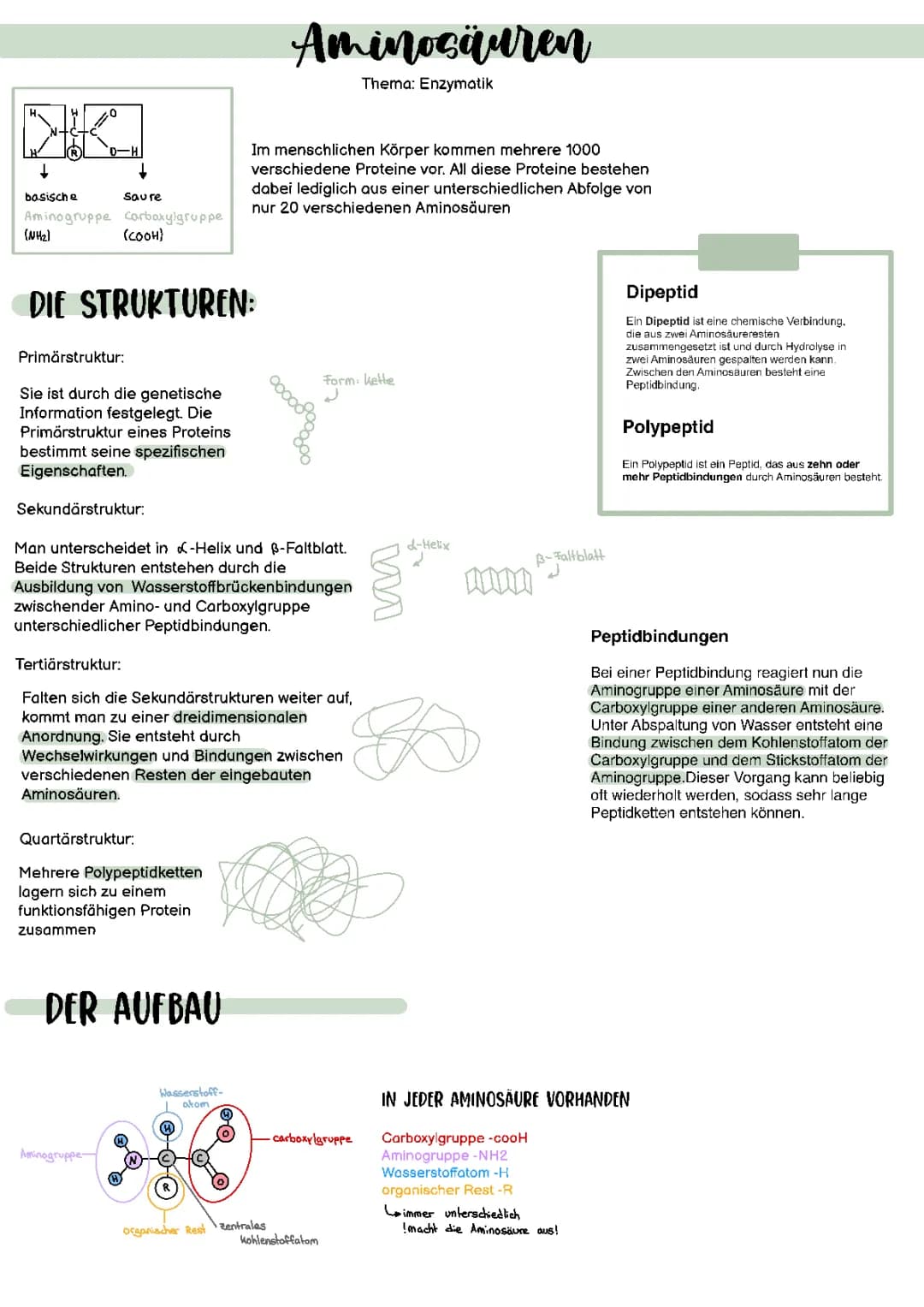 Klausurvorbereitung Enzymatik 