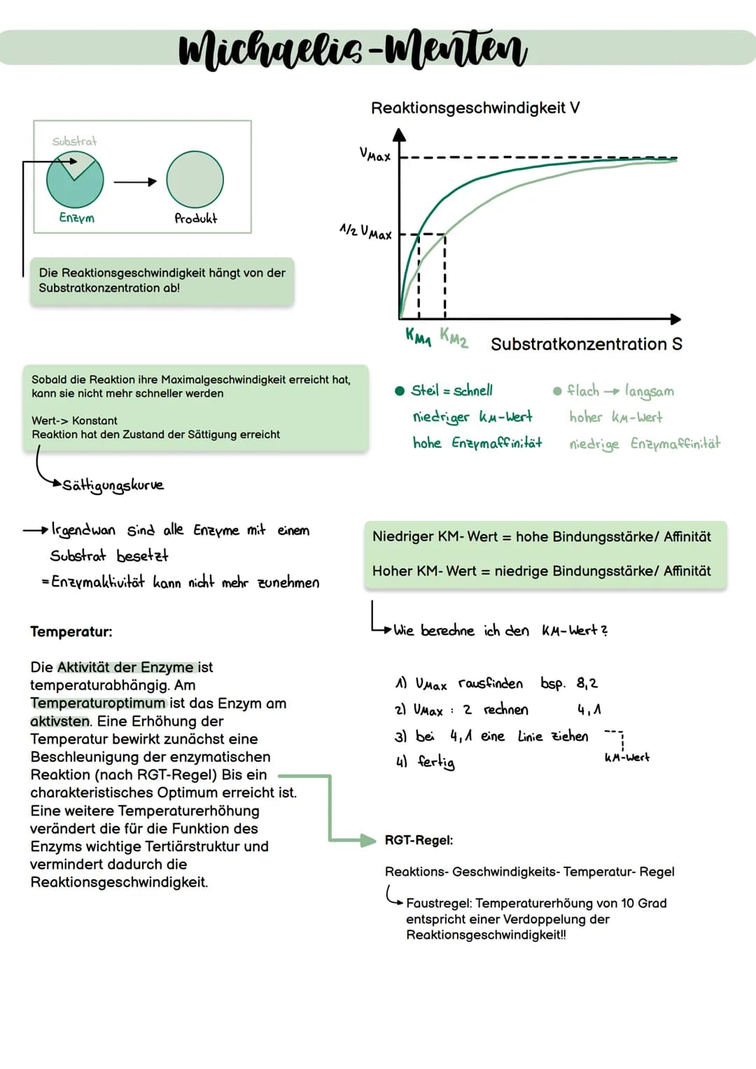 0
↓
basische
Aminogruppe Carboxylgruppe
(NH₂)
(COOH)
Savre
DIE STRUKTUREN:
Primärstruktur:
Sie ist durch die genetische
Information festgele