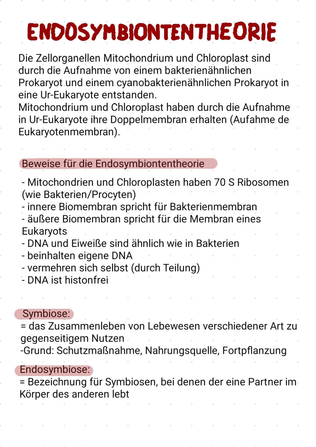 Endosymbiontentheorie: Beispiele und Vorteile für Kinder erklärt