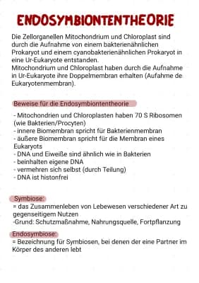 Know Endosymbiontentheorie thumbnail