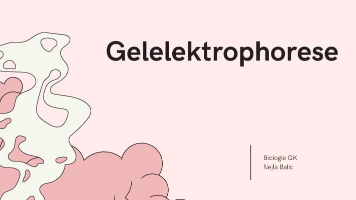 Know Gelelektrophorese thumbnail