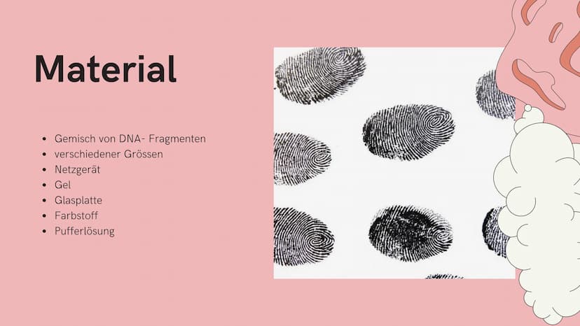 Si
Gelelektrophorese
Biologie GK
Nejla Balic Inhaltsverzeichnis
-Definition
-Verwendung
-Material
-Ablauf
-Auswertung
-Quellen Was denkt ihr