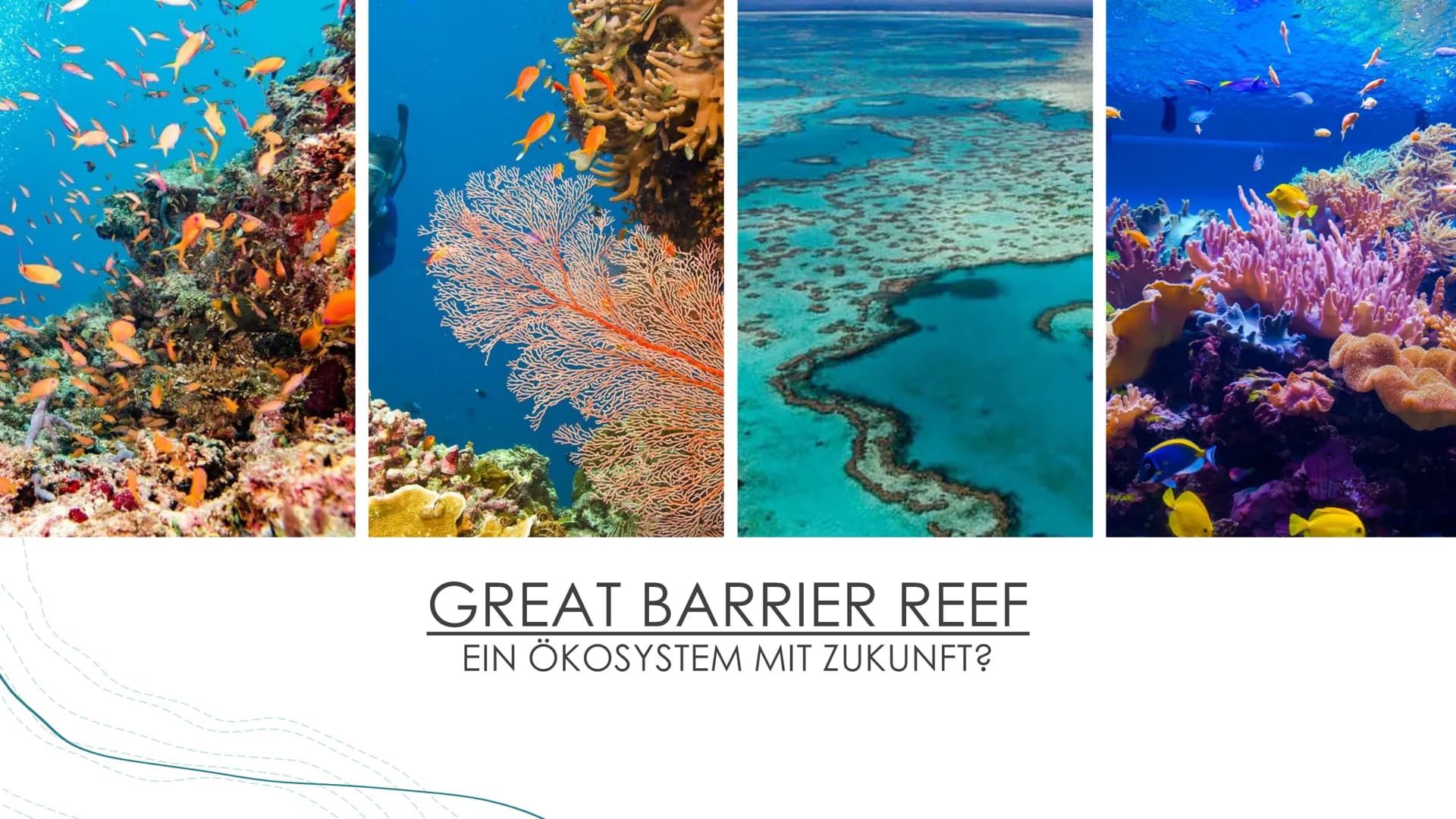 GREAT BARRIER REEF
EIN ÖKOSYSTEM MIT ZUKUNFT? GLIEDERUNG
●
●
●
●
●
●
Was sind Korallen(riffe)?
Allgemeine Informationen
Geographische Lage
E
