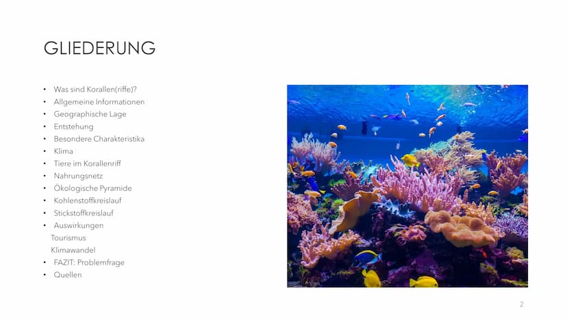 GREAT BARRIER REEF
EIN ÖKOSYSTEM MIT ZUKUNFT? GLIEDERUNG
●
●
●
●
●
●
Was sind Korallen(riffe)?
Allgemeine Informationen
Geographische Lage
E