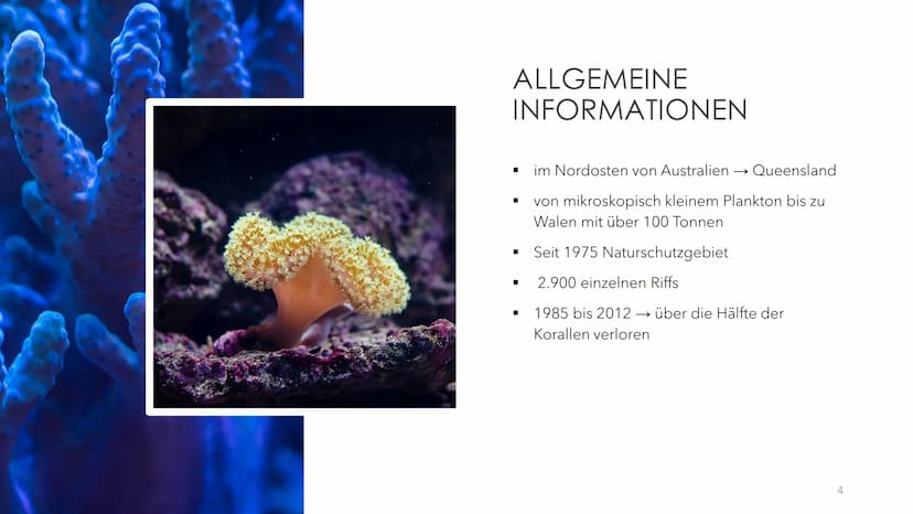 GREAT BARRIER REEF
EIN ÖKOSYSTEM MIT ZUKUNFT? GLIEDERUNG
●
●
●
●
●
●
Was sind Korallen(riffe)?
Allgemeine Informationen
Geographische Lage
E