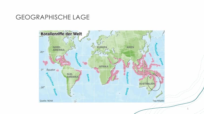 GREAT BARRIER REEF
EIN ÖKOSYSTEM MIT ZUKUNFT? GLIEDERUNG
●
●
●
●
●
●
Was sind Korallen(riffe)?
Allgemeine Informationen
Geographische Lage
E