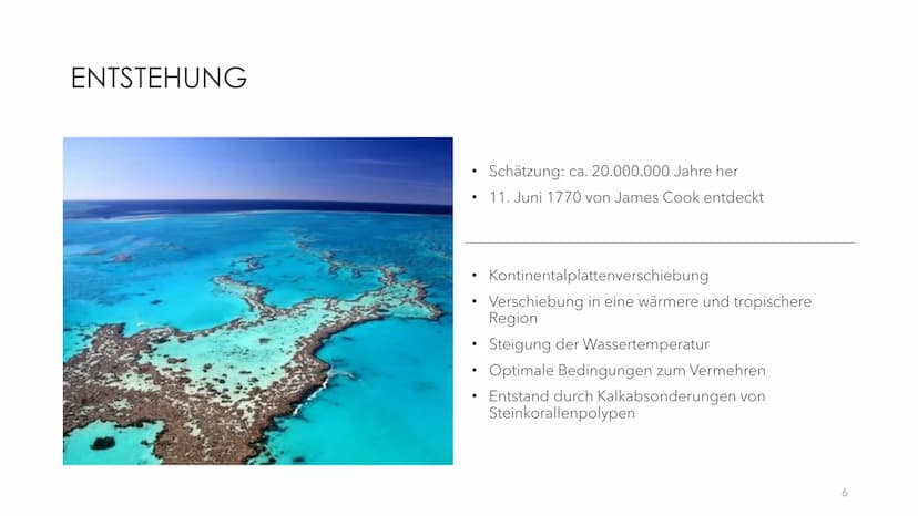 GREAT BARRIER REEF
EIN ÖKOSYSTEM MIT ZUKUNFT? GLIEDERUNG
●
●
●
●
●
●
Was sind Korallen(riffe)?
Allgemeine Informationen
Geographische Lage
E