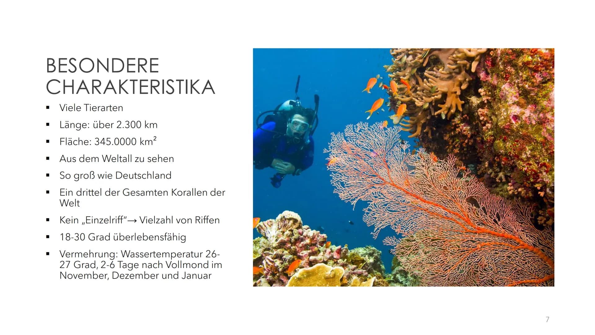 GREAT BARRIER REEF
EIN ÖKOSYSTEM MIT ZUKUNFT? GLIEDERUNG
●
●
●
●
●
●
Was sind Korallen(riffe)?
Allgemeine Informationen
Geographische Lage
E
