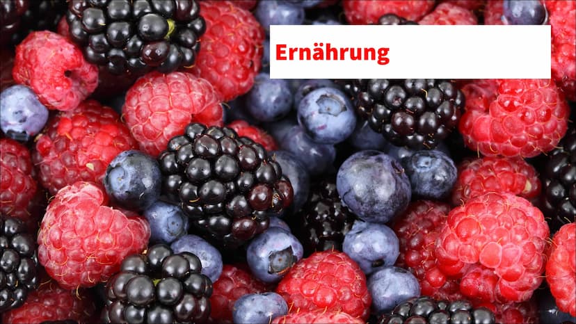 Ernährung Ernährung
✓ Nährstoffe
O Kohlenhydrate unterteilt man weiter in Mono-, Di- und Polysaccharide (Einfach-,
Zweifach- und Dreifachzuc