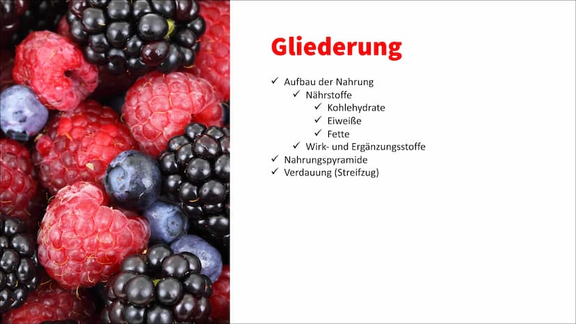 Ernährung Ernährung
✓ Nährstoffe
O Kohlenhydrate unterteilt man weiter in Mono-, Di- und Polysaccharide (Einfach-,
Zweifach- und Dreifachzuc