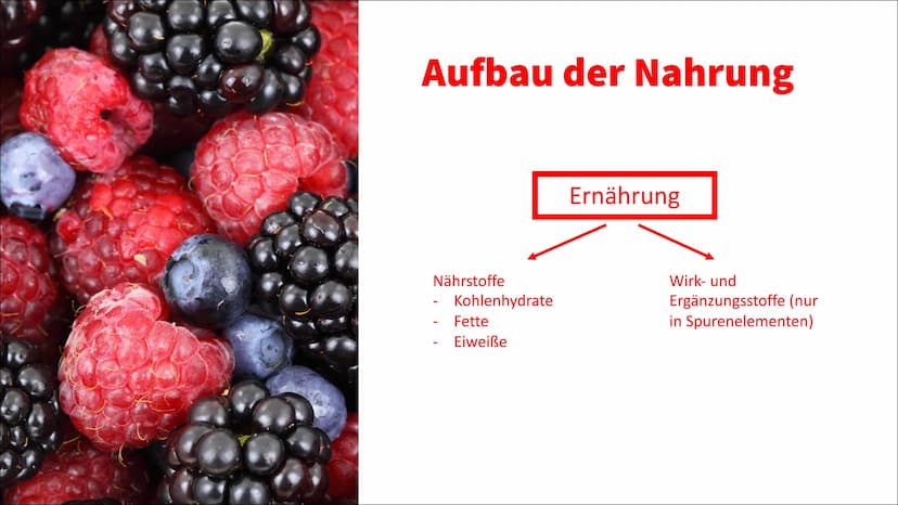 Ernährung Ernährung
✓ Nährstoffe
O Kohlenhydrate unterteilt man weiter in Mono-, Di- und Polysaccharide (Einfach-,
Zweifach- und Dreifachzuc