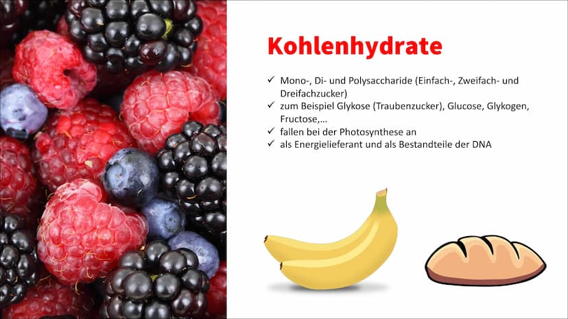 Ernährung Ernährung
✓ Nährstoffe
O Kohlenhydrate unterteilt man weiter in Mono-, Di- und Polysaccharide (Einfach-,
Zweifach- und Dreifachzuc