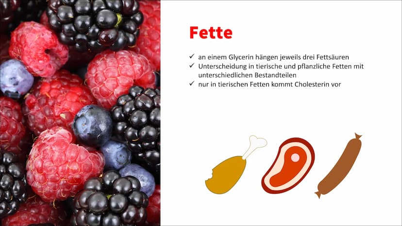 Ernährung Ernährung
✓ Nährstoffe
O Kohlenhydrate unterteilt man weiter in Mono-, Di- und Polysaccharide (Einfach-,
Zweifach- und Dreifachzuc