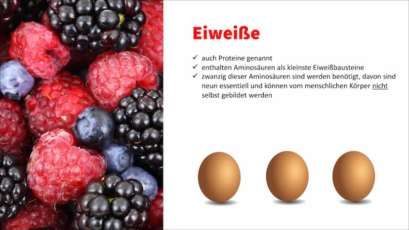 Ernährung Ernährung
✓ Nährstoffe
O Kohlenhydrate unterteilt man weiter in Mono-, Di- und Polysaccharide (Einfach-,
Zweifach- und Dreifachzuc