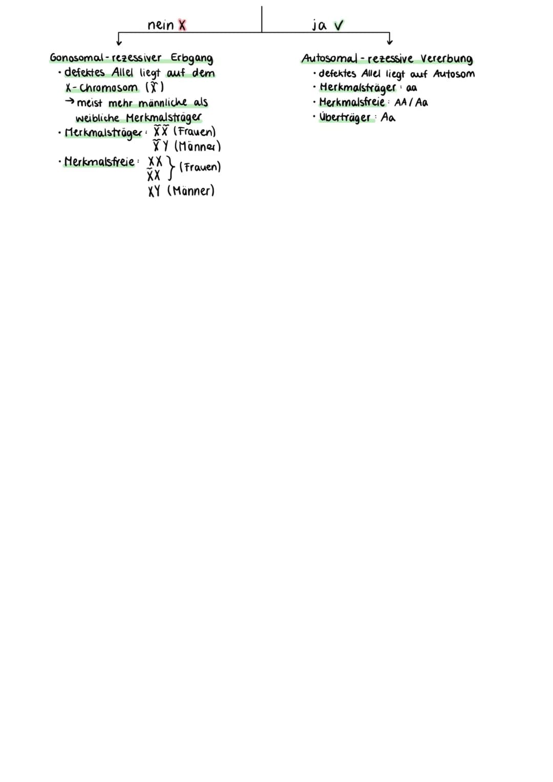 Proteinbiosynthese
Zellmembran
Cytoplasma
Kernhülle
Kempore.
DNA
Ο Transkription
freie tRNA
Zellkern
Transkription
mRNA
Genetik
free
Aminoso