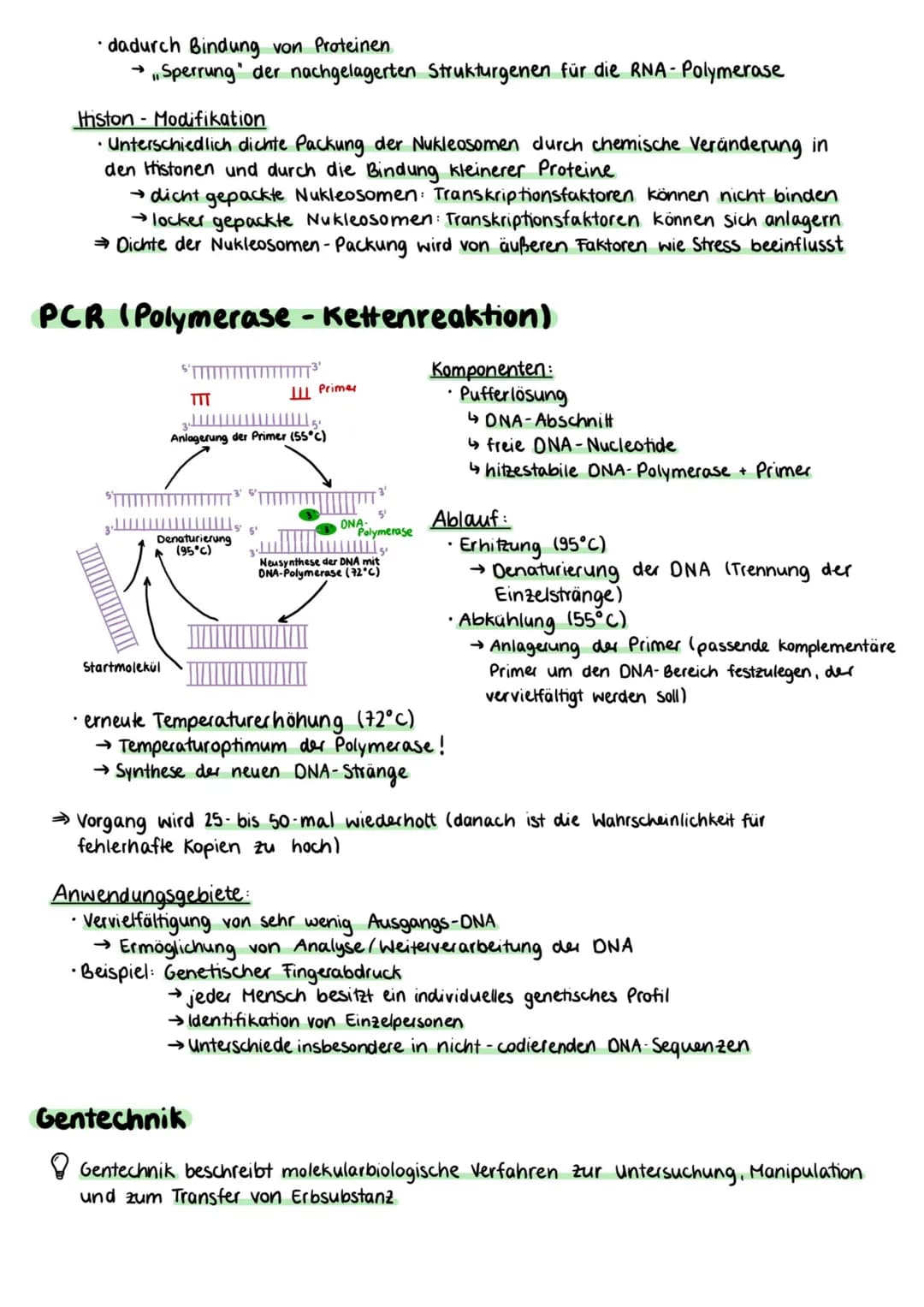 Proteinbiosynthese
Zellmembran
Cytoplasma
Kernhülle
Kempore.
DNA
Ο Transkription
freie tRNA
Zellkern
Transkription
mRNA
Genetik
free
Aminoso