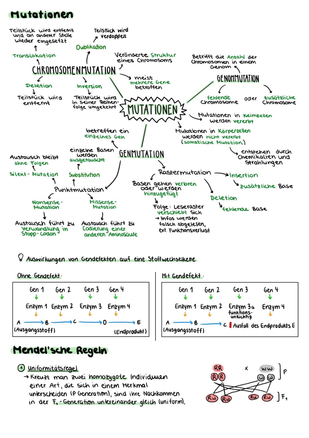 Proteinbiosynthese
Zellmembran
Cytoplasma
Kernhülle
Kempore.
DNA
Ο Transkription
freie tRNA
Zellkern
Transkription
mRNA
Genetik
free
Aminoso