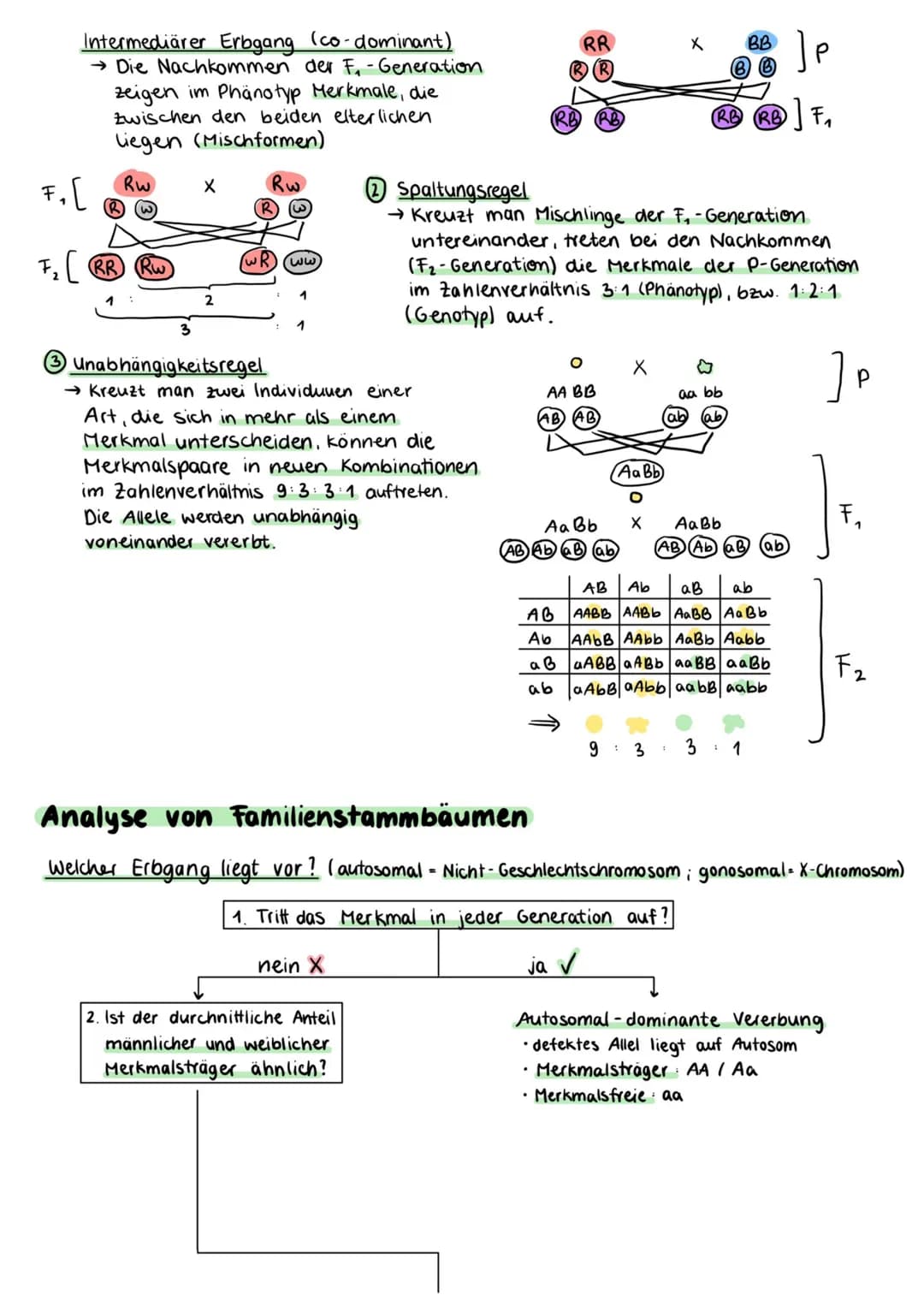 Proteinbiosynthese
Zellmembran
Cytoplasma
Kernhülle
Kempore.
DNA
Ο Transkription
freie tRNA
Zellkern
Transkription
mRNA
Genetik
free
Aminoso