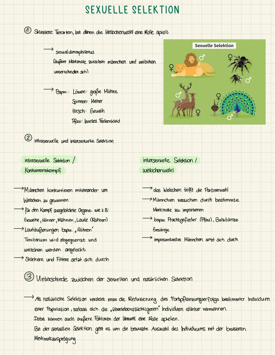 SEXUELLE SELEKTION
Skizziere Tierarten, bei denen die Weibchenwahl eine Rolle spielt
sexual dimorphismus
Caußere Merkmale zwischen männchen 