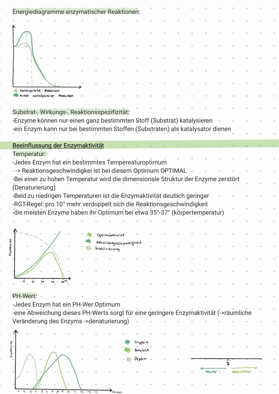 Enzymatik - Klausur, 11.5.2021
Tipp: Schaut euch die Begriffe im Glossar an und stellt sicher, dass ihr die Begriffe zuordnen könnt und unte