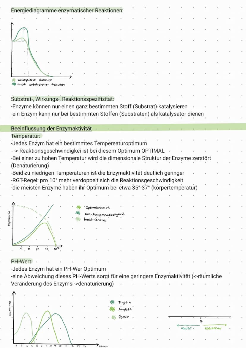 Enzymatik - Klausur, 11.5.2021
Tipp: Schaut euch die Begriffe im Glossar an und stellt sicher, dass ihr die Begriffe zuordnen könnt und unte