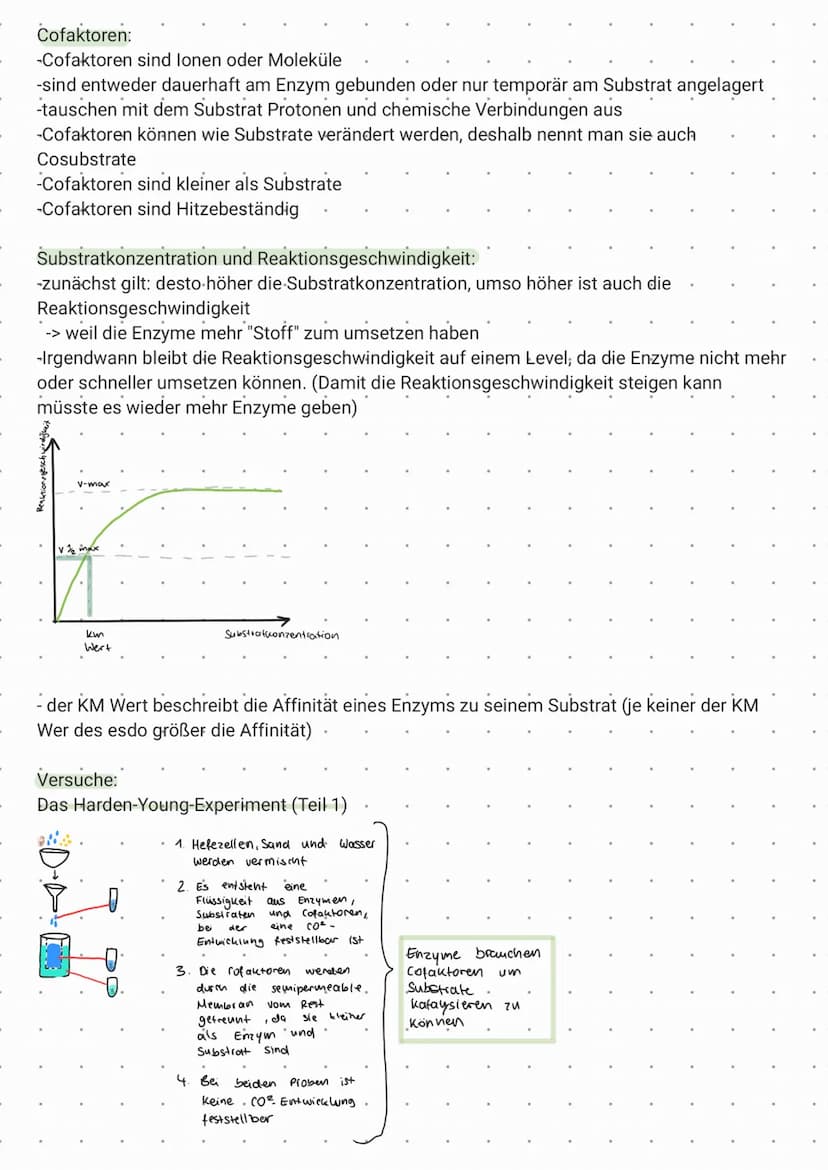 Enzymatik - Klausur, 11.5.2021
Tipp: Schaut euch die Begriffe im Glossar an und stellt sicher, dass ihr die Begriffe zuordnen könnt und unte