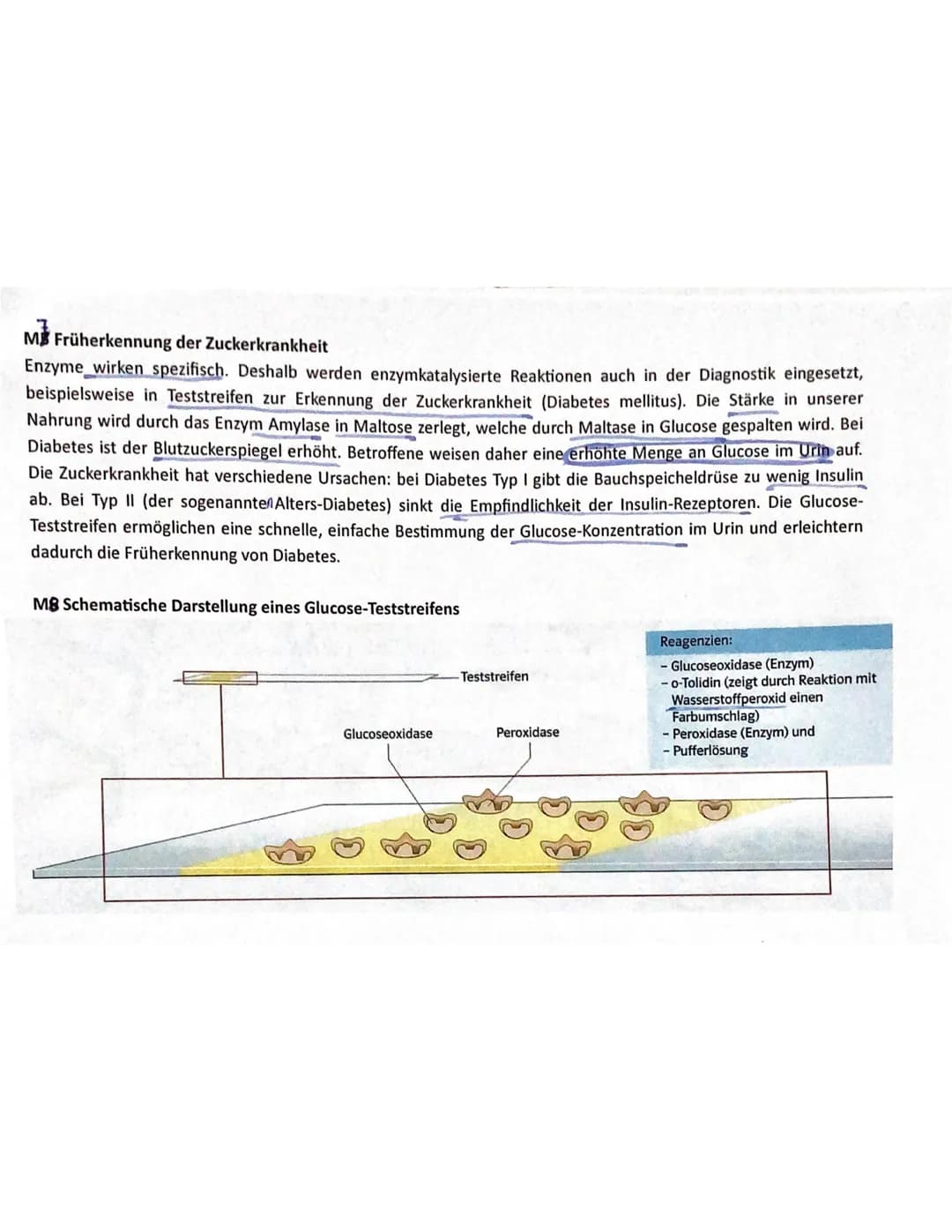 2
Biologie eA Kurs 12
Name:
Aufgabenstellungen
Zeit: 90 min
100
1.
Erreichte Punkte:
37,5
Datum: 16.11.2022 Maximale Punktzahl:
4039
Stoffwe