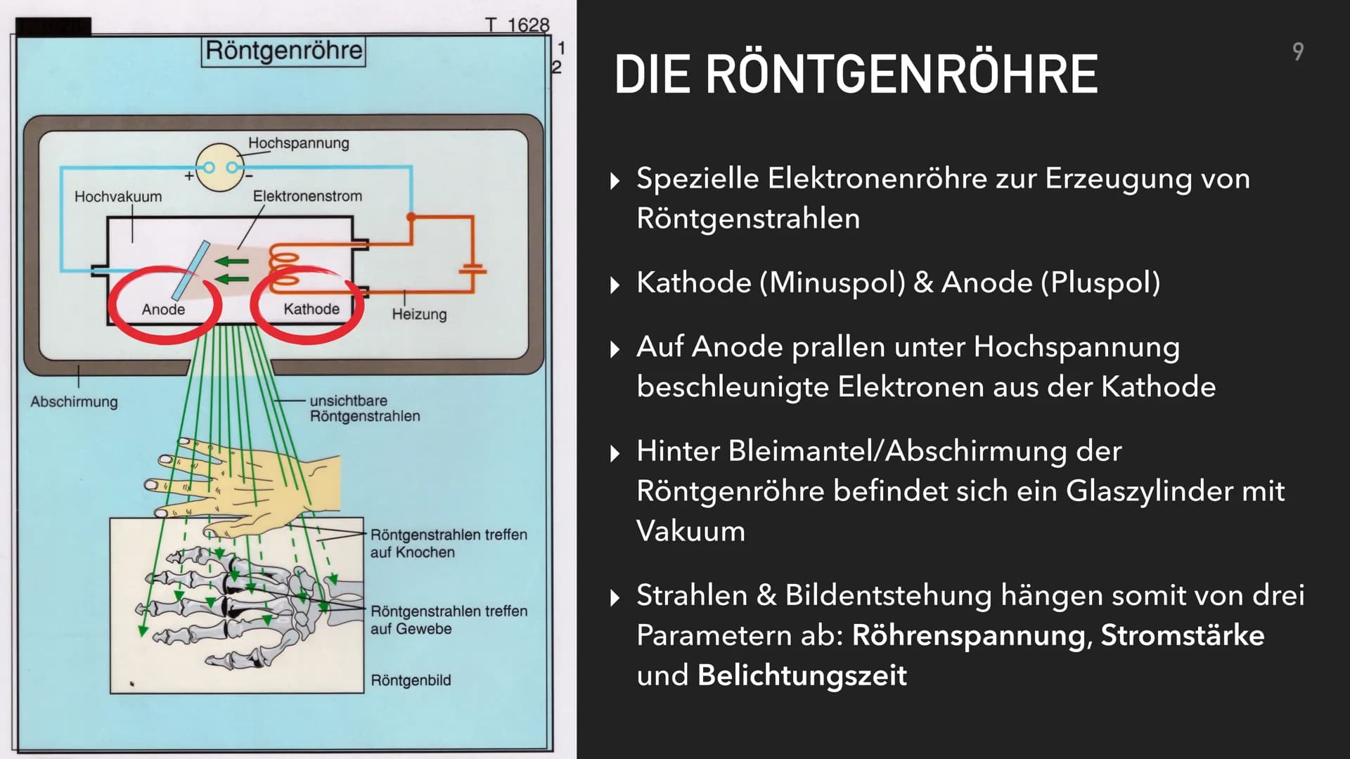 RÖNTGEN RÖNTGEN-LILLY PHILIP
INHALTSVERZEICHNIS
▸ Wilhelm Conrad Röntgen
▸ Allgemeine Infos
▸ Röntgenstrahlen
▸ Röntgenröhre
▸ Röhrenspannun
