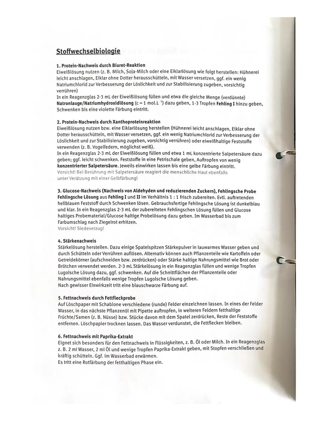 Experimente/praktische Tätigkeiten im Biologie eA-Kurs

| Stoffwechselbiologie | Enzymatik | CO2-Nachweis | Mikroskopie |
|---|---|---|---|
