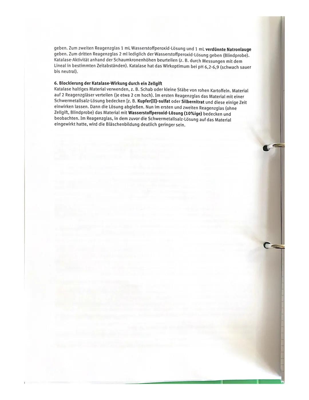 Experimente/praktische Tätigkeiten im Biologie eA-Kurs

| Stoffwechselbiologie | Enzymatik | CO2-Nachweis | Mikroskopie |
|---|---|---|---|
