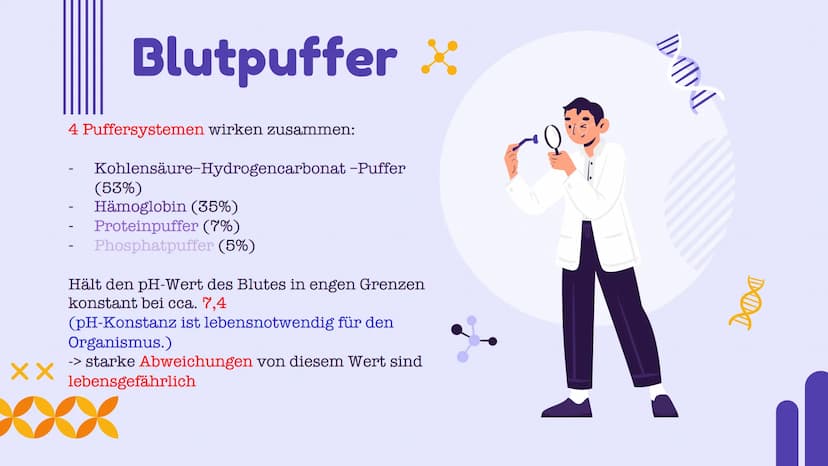 DOL
Puffersysteme
Präsentation von Cristina Badan und Ekta Devi Inhaltsangabe
01 Definition
03
Arten von
Puffersysteme
Puffersysteme in der
