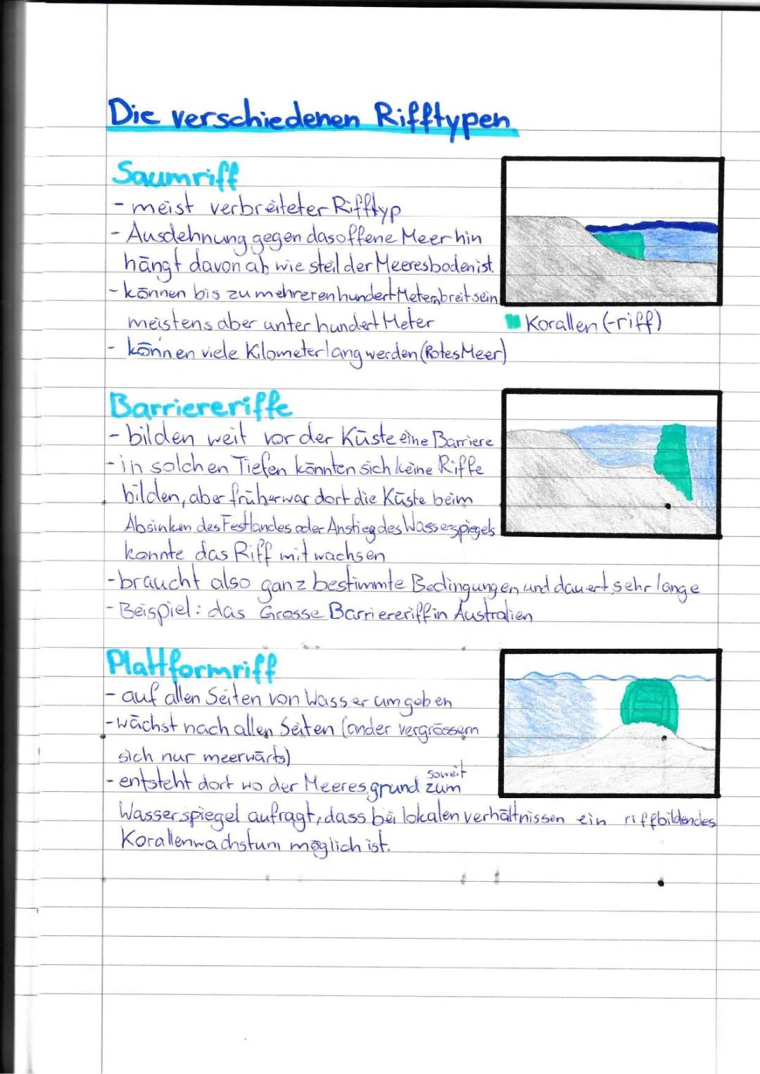 Rifftypen einfach erklärt: Saumriff, Barriereriff, Atoll - Beispiele und Entstehung