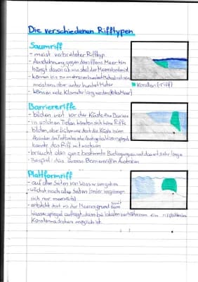 Know Rifftypen /Riffarten  Entstehung und Aussehen (Saumriff,Barriereriff,Plattformriff, Atoll)  thumbnail