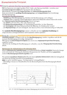 Know Biomechanische Prinzipien  thumbnail