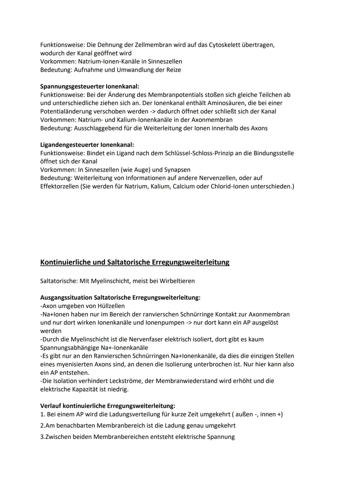 Ruhepotenzial, Membranpotenzial und Aktionspotenzial
Ruhepotenzial:
Durch die chemische Kraft werden K+-Ionen nach außen gedrückt (Ausgleich
