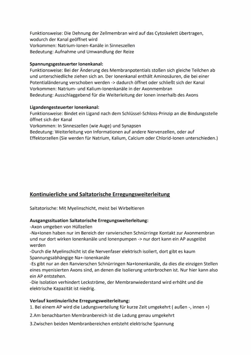 Ruhepotenzial, Membranpotenzial und Aktionspotenzial
Ruhepotenzial:
Durch die chemische Kraft werden K+-Ionen nach außen gedrückt (Ausgleich
