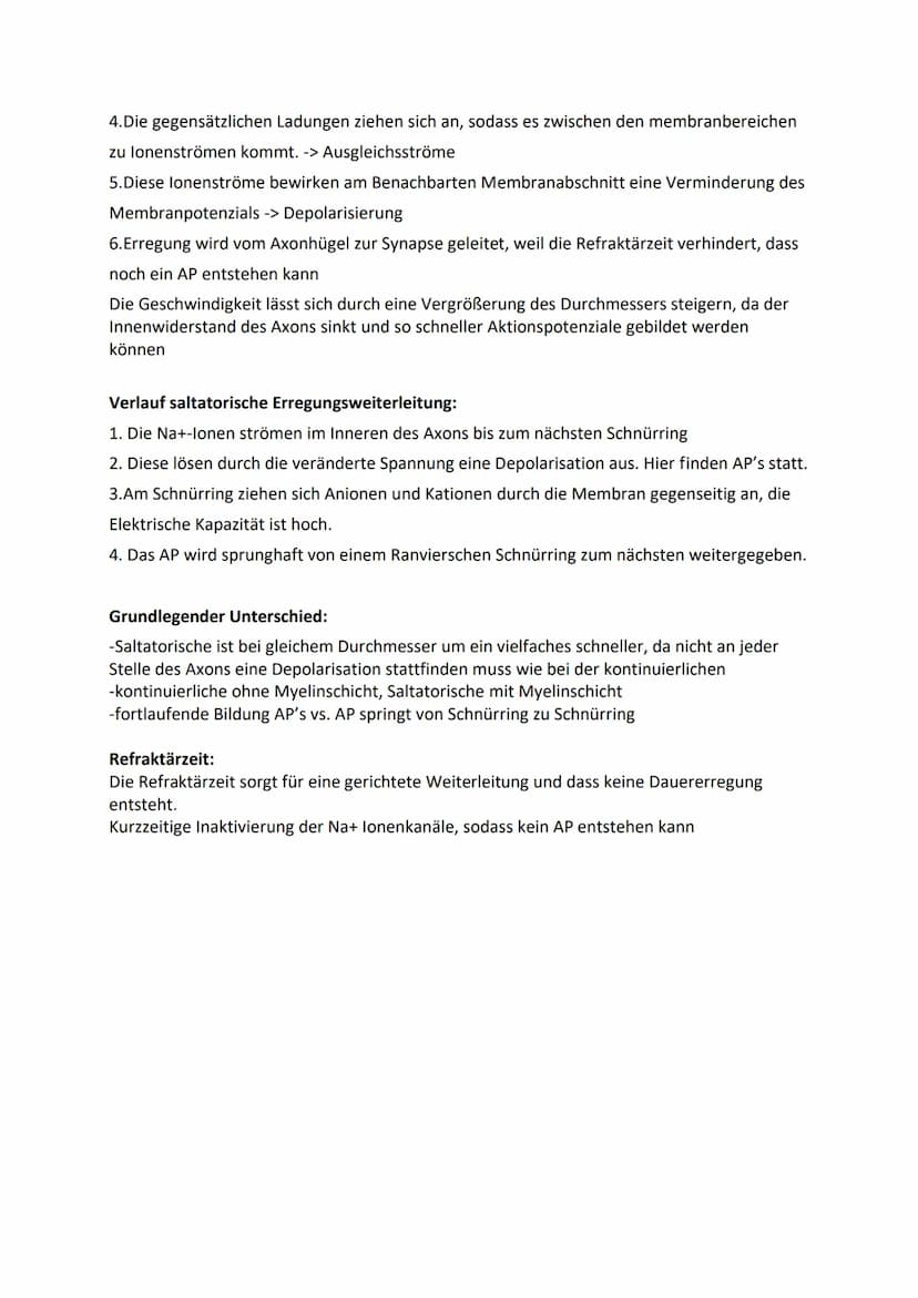 Ruhepotenzial, Membranpotenzial und Aktionspotenzial
Ruhepotenzial:
Durch die chemische Kraft werden K+-Ionen nach außen gedrückt (Ausgleich