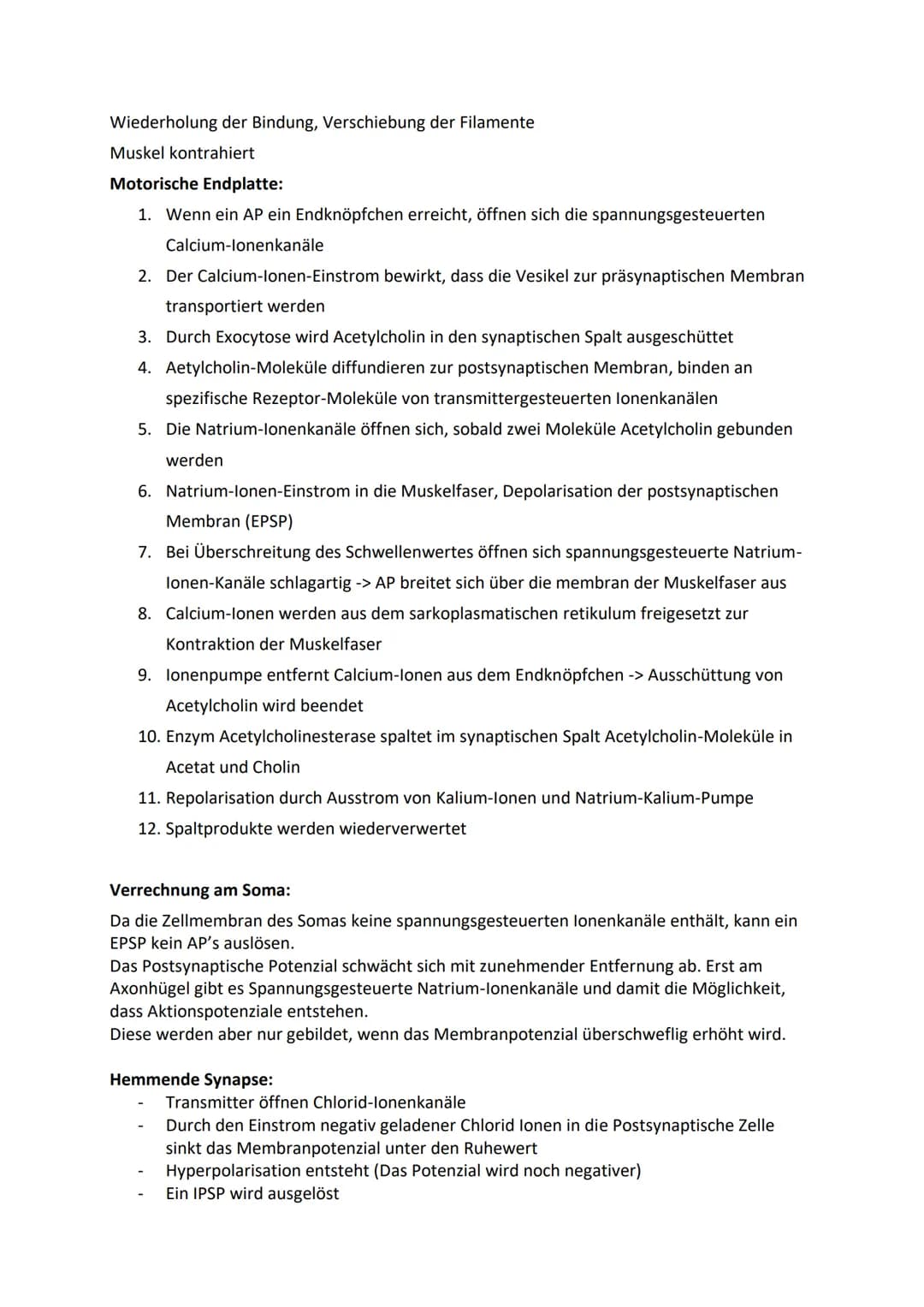 Ruhepotenzial, Membranpotenzial und Aktionspotenzial
Ruhepotenzial:
Durch die chemische Kraft werden K+-Ionen nach außen gedrückt (Ausgleich