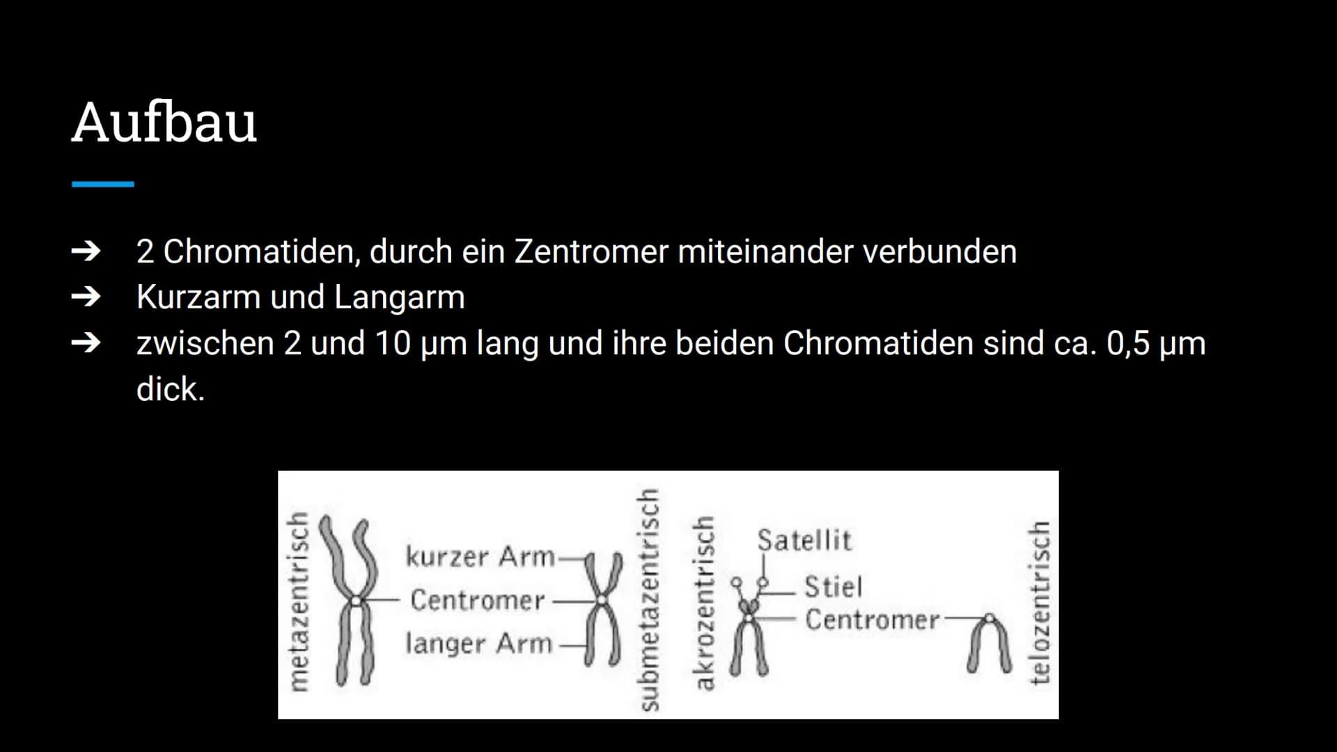 Chromosome
Laura Take und Melike Turan Gliederung
Was sind Chromosomen?
Anzahl der Chromosomen bei bestimmten Lebewesen
Aufbau
Chemische Zus