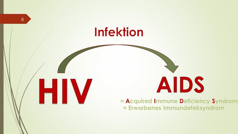 1
Hosna Ziayee
HIV/AIDS
???
ago 2
HIV/AIDS=??
? 3
- Was Hiv für ein Virus ist
-Was Hiv mit Aids zutun hat
- Wie Hiv übertragen werd
-Wie Sch