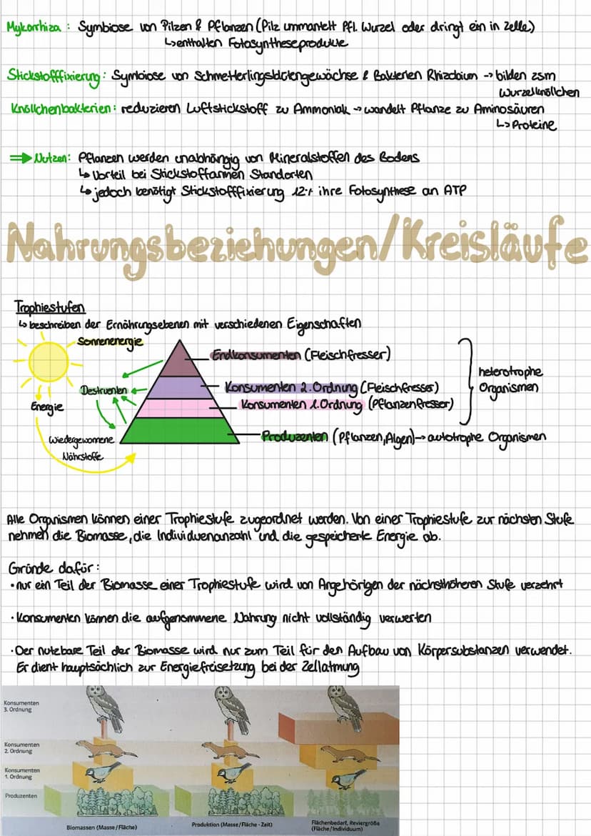 Biotische Faktoren
Definition
Gehen von lebenden Organismen aus, 2.B. Feinden, Artgenossen, Parasiten; belebte Einflusse auf einen
Organismu