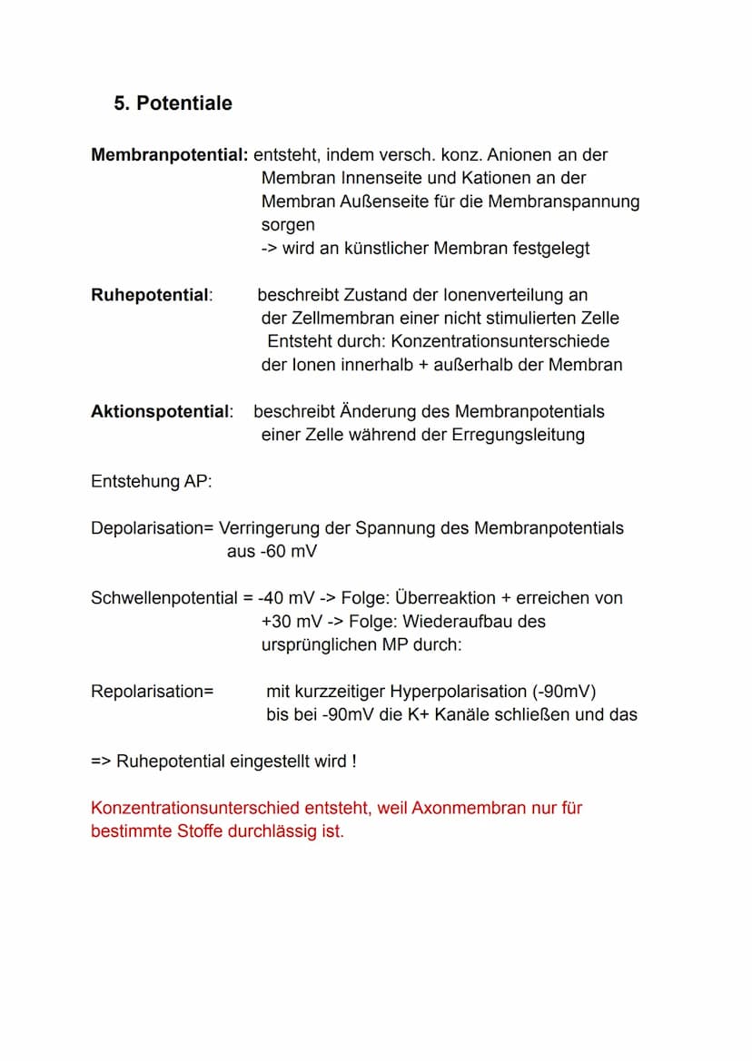 Lernzettel Gesundheit
1. Hirnstrukturen
Vordere
Zentralwindung
Stirnlappen
Schläfenlappen
Sulcus
lateralis
Der Aufbau des Großhirns
Funktion