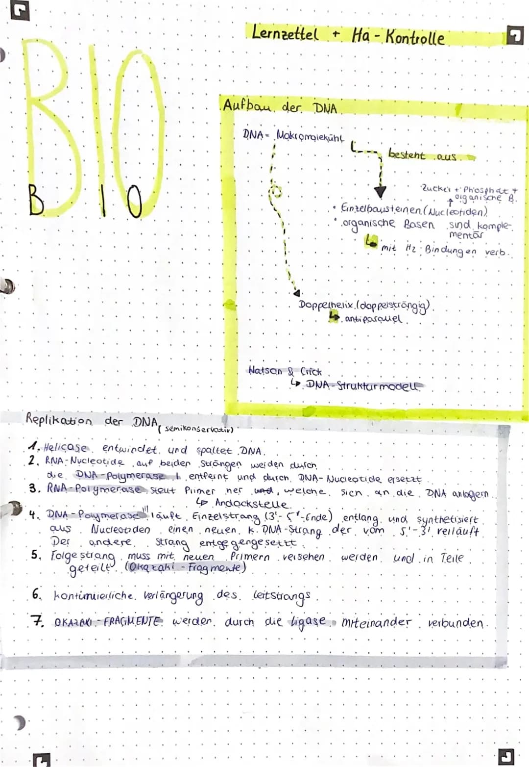 Dna Aufbau+ Replikation